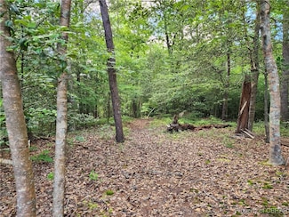 .52 AC Pine Trail, Gloucester, VA 23061