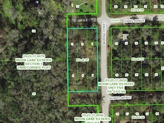 11021 Morena St, Moon Lake Estates, FL 34654