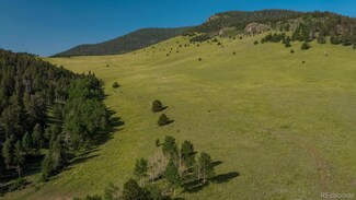 000 County Road 100, Guffey, CO 80820