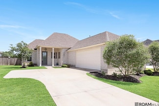 36310 Belle Reserve Ave, Geismar, LA 70734