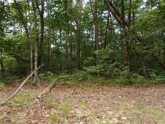 Lot123 Mountain View Rd, Dawsonville, GA 30534