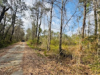 TBD Mount Carmel Church Rd, Columbia, MS 39642