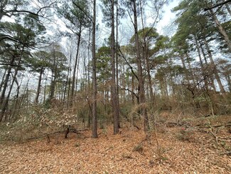 Lot 31 Noxubee St, Shreveport, LA 71119