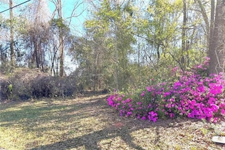 4340 Pamona Pkwy, Semmes, AL 36575