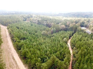 0 County Road 2310, Woodville, TX 75979