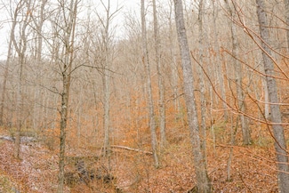 700 Oak Hollow, White Sulphur Sprins, WV 24986