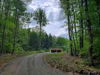 48 Upper Oak Hill Rd, Newfane, VT 05345