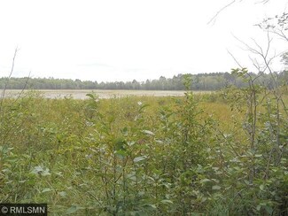 TBD Rock Elm Trail, Pine River, MN 56474