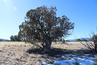 105 Acres Demetrio Rd, Sandia Park, NM 87047