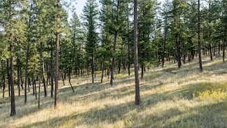 NHN Pond Rd, Kalispell, MT 59901