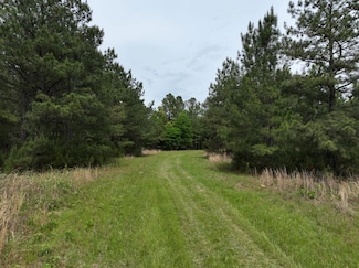 0 Sunbury Rd Unit 20150872, Daisy, GA 30417