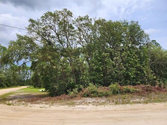 0 Tiny Ave, Interlachen, FL 32148