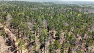 0 Lee Road 278 Unit 21312214, Salem, AL 36874
