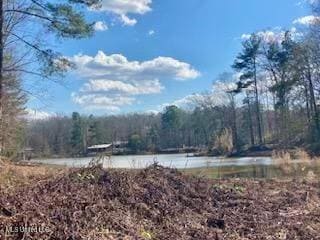 LOT 11 Turkey Creek Rd, Natchez, MS 39120