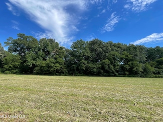 0001 Renfroe Rd, Canton, MS 39046