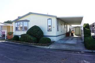 1220 Vienna Dr Unit 518, Sunnyvale, CA 94089