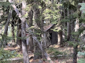 59744 Rommel Ln, Weston, OR 97886