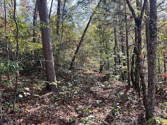 955 Tennessee 422, New Hope, TN 37380