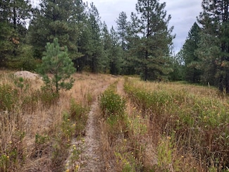 00 Little Sweden Rd, Valley, WA 99181