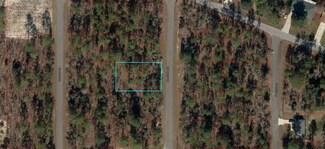 Lot 3 NE 151st Ave, Williston, FL 32696