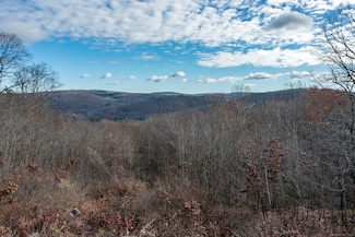 0 Swaller Hill Rd Unit 24141946, Sharon, CT 06796