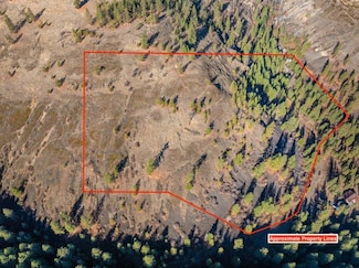 31293 Blue Grouse Dr E, Davenport, WA 99122