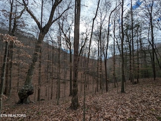 41 Apache Rd, Jamestown, TN 38556