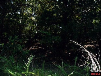 760-13248-000 Locust Ave, Bull Shoals, AR 72619