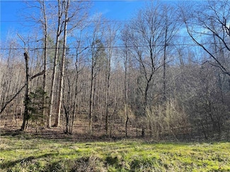 00 Rock Fence Rd NW, Adairsville, GA 30103