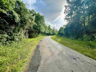 Tract 2 County Road 786, Buna, TX 77612