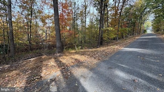 LOT 20 Pinto Trail, Shawneeland, VA 22602