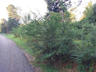 0 Pearson St, Avinger, TX 75630