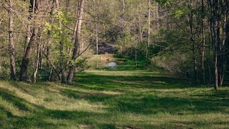 8270 Twin Falls Rd NE, Copper Hill, VA 24079