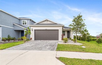 33822 Floating Heart Ct, Wesley Chapel, FL 33545