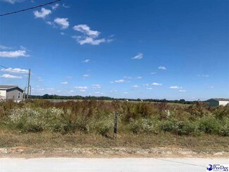 0 Corey's Ct Unit 20223736, Dillon, SC 29536