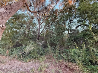 0 0 E Thrasher Dr, Bronson, FL 32621