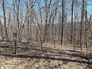 Lot 529 Garnet Trail, New Tazewell, TN 37825