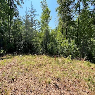 Lt 3 & 4 Red Dog Ln, Whittier, NC 28789