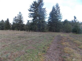 12910 Rainier Acres Rd SE, Rainier, WA 98576