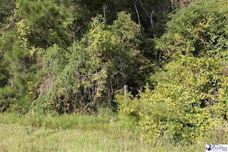 TBD Hartsville-Ruby Rd, Patrick, SC 29584