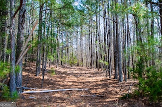 3940 Clinton Ct, Villa Rica, GA 30180
