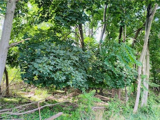 25 Horan Rd, Medina, NY 14103