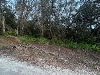 6330 Mike Ln, Webster, FL 33597