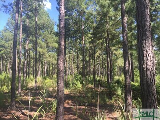 0 Spur Branch Rd Unit 164959, Williston, SC 29812