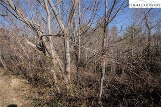 708 SE Chatsworth St, Lenoir, NC 28645