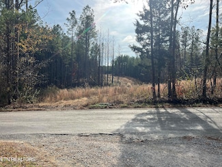 3203 Armstrong Ferry Rd, Decatur, TN 37322