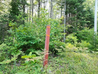 TBD Edinburg Rd, Edinburg, ME 04448