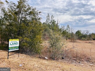 0 Georgia Rd Unit 10553235, Butler, GA 31006