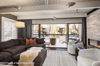 825 E Hopkins Ave Unit 2N, Aspen, CO 81611