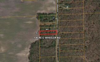 S S Wheeler Rd, Hopkins Park, IL 60958